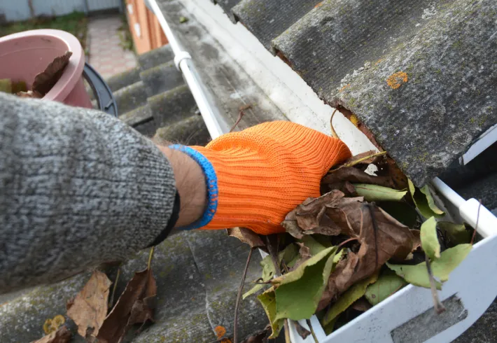 Gutter Cleaning