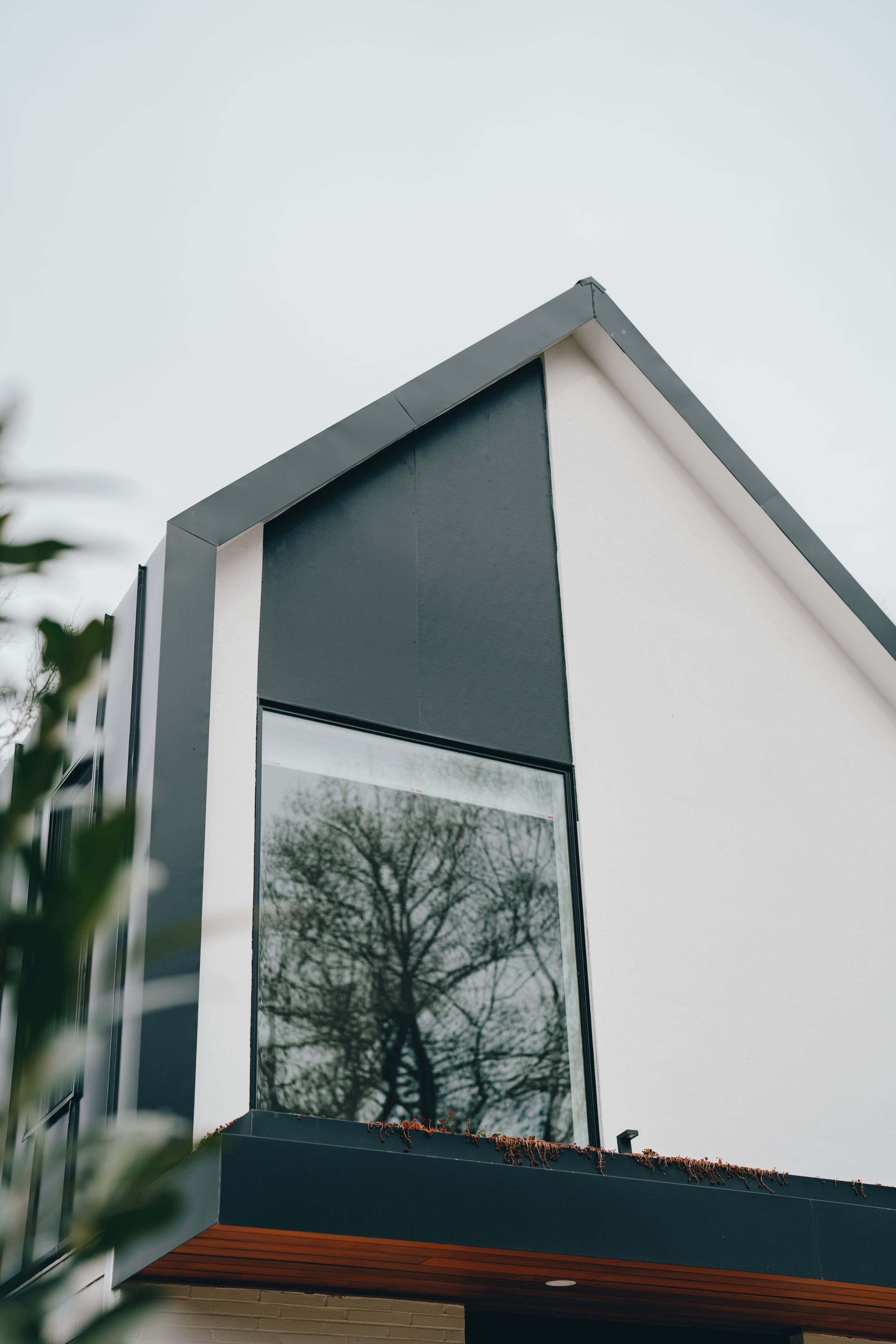 Modern glass architecture in natural light