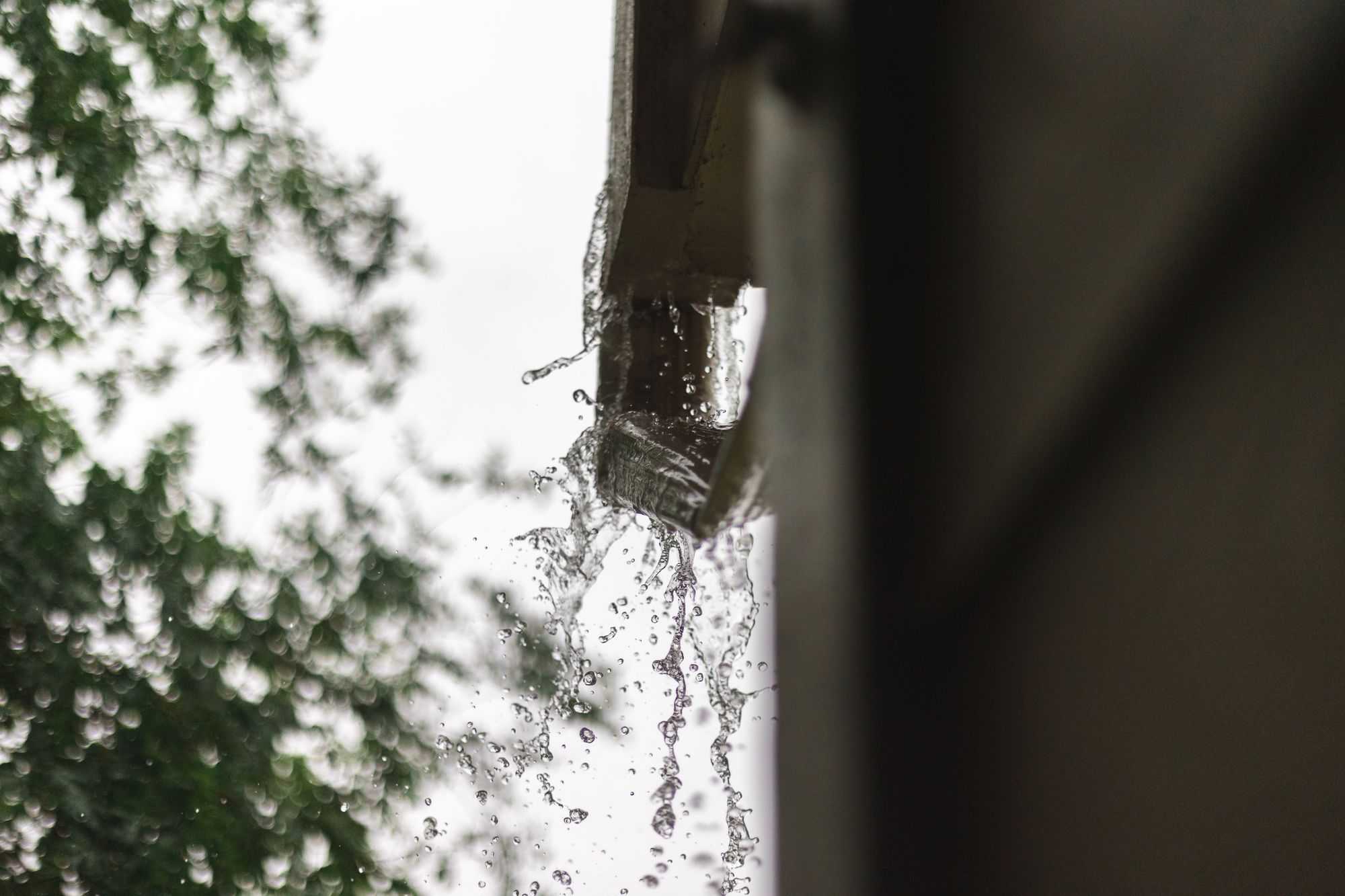 Gutter Cleaning